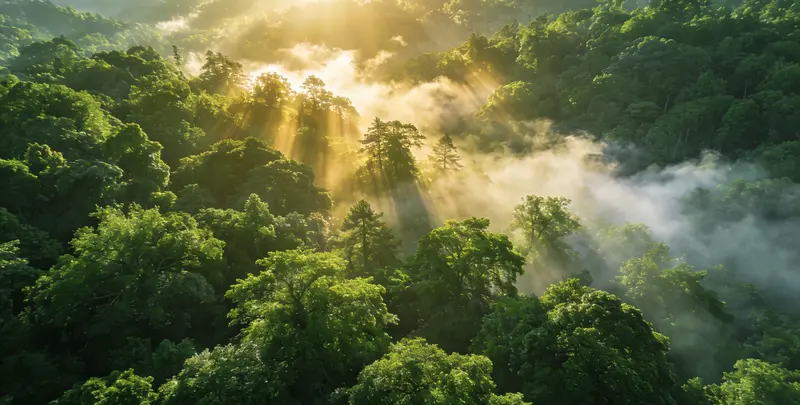 上饶肺癌13基因突变检测（组织）图片1