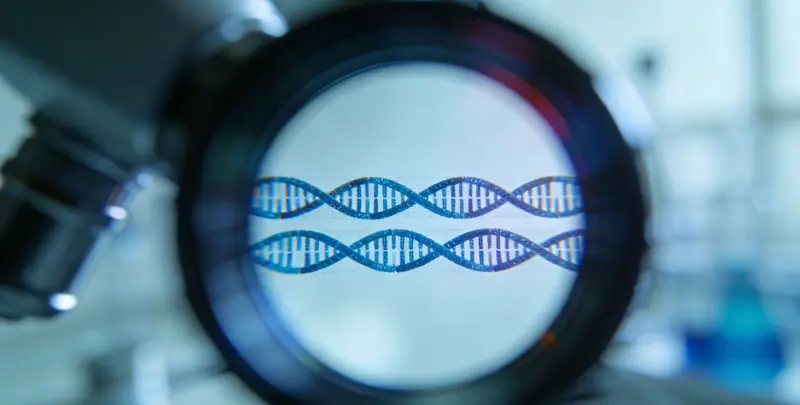 上户口亲子鉴定图3